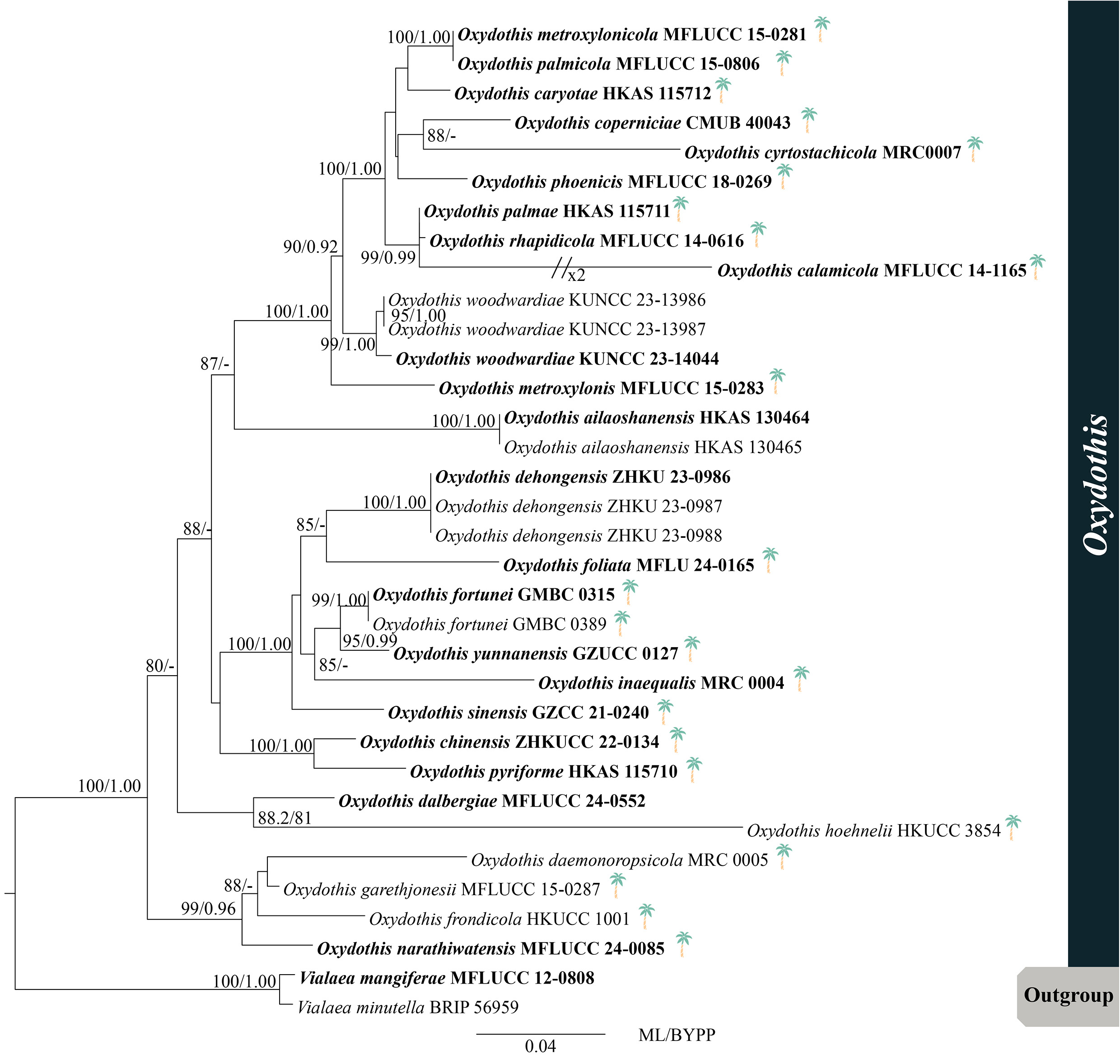Figure 142